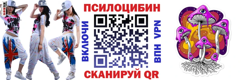 Купить закладки  Минусинск  Псилоцибиновые грибы GOLDEN TEACHER 