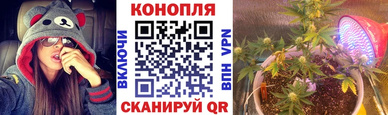 Купить закладки  Минусинск  Бошки марихуана тримм 